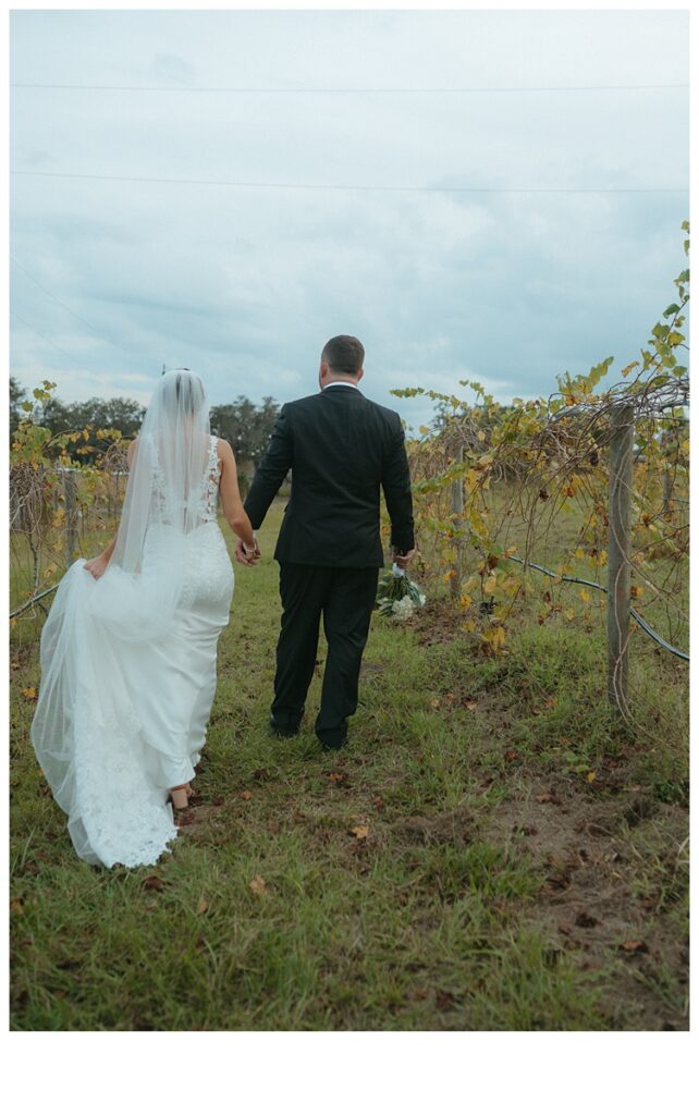 bride and groom walking through vineyard