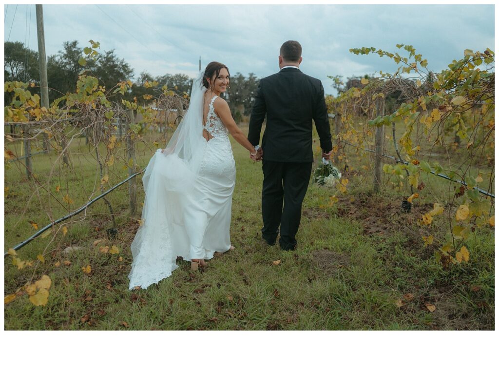 bride turns around while walking through vineyard