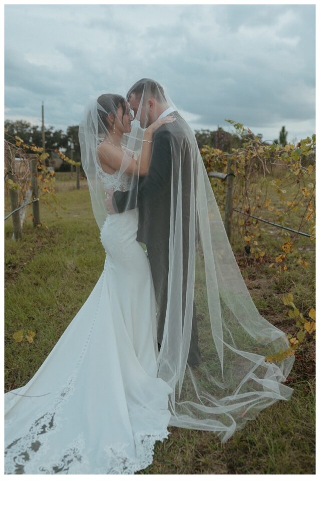 unique bride and groom under veil