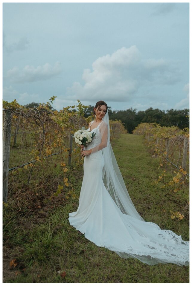 bridal portraits in vineyard