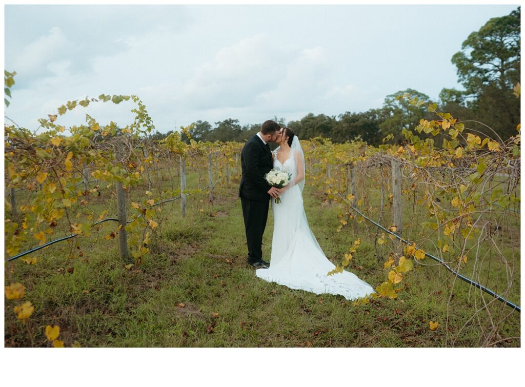 bride and groom kissing in vineyard at Black WIllow Ranch mims