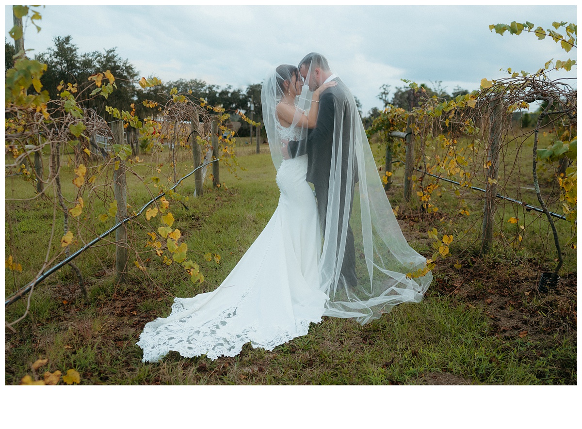 unqiue and intimate bride and groom under veil in vineyard at Black WIllow Ranch mims