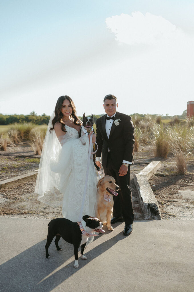 bride and groom golden hour portraits in Florida