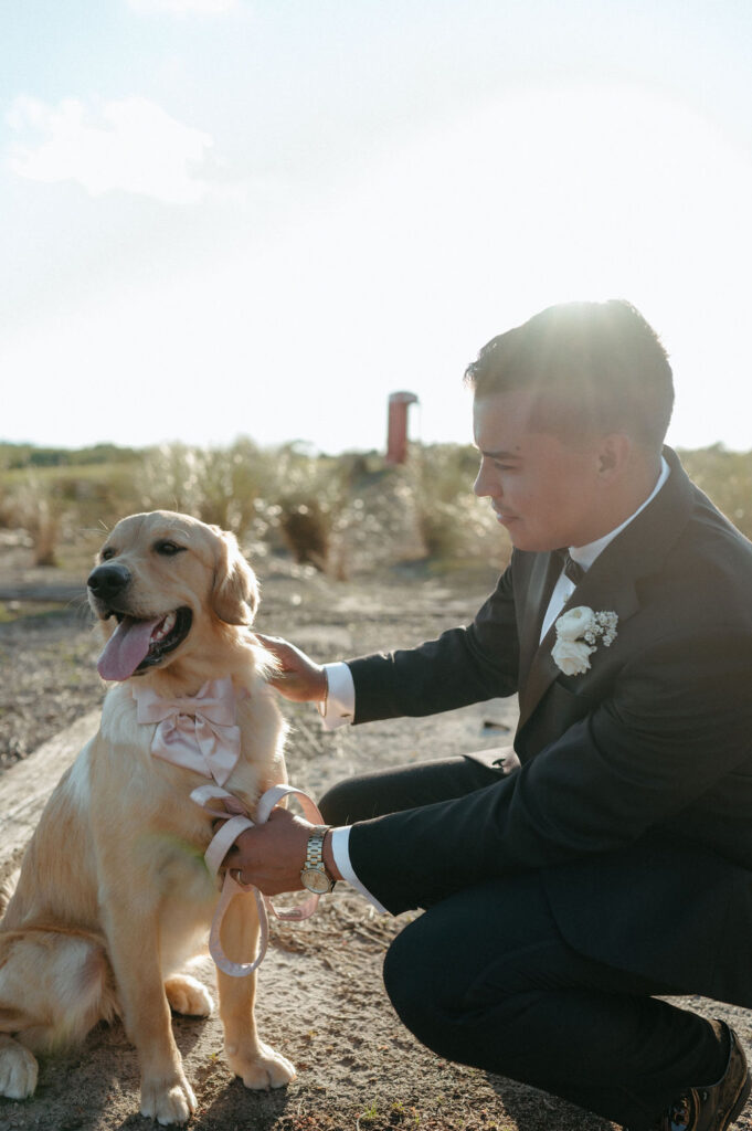 bride and groom golden hour portraits in Florida