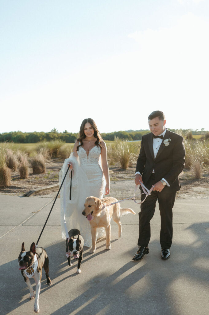 bride and groom golden hour portraits in Florida